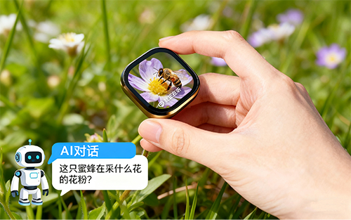组创两大智能学习方案：穿戴式产品与 AI 拍学机全链条定制开发