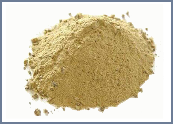 a8体育免费观看