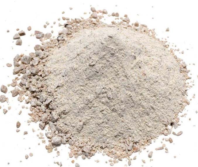 a8体育免费观看