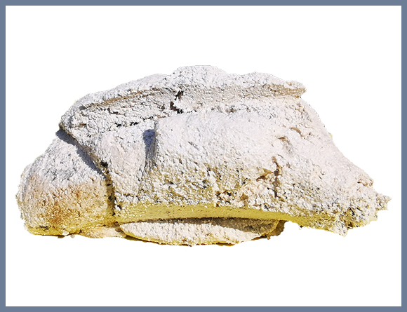 a8体育免费观看